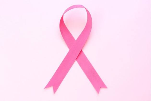 プエラリア 副作用 乳がん 危険性 健康 被害 体 悪い ホント