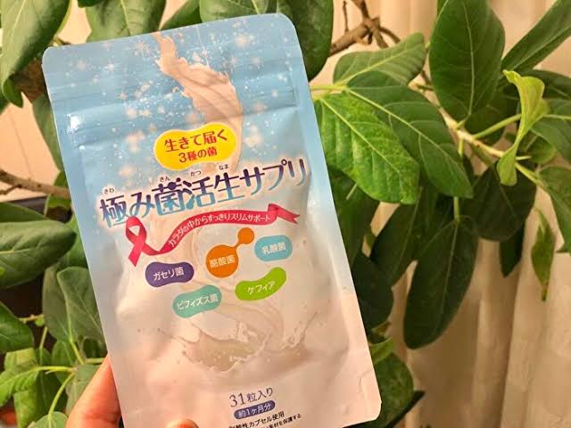 極み菌活生サプリ ダイエット 効果 痩せない 口コミ 評判 まとめ